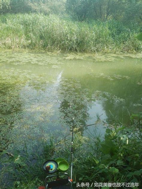 小伙野釣三小時，一條魚都沒釣到，收穫很不錯 每日頭條