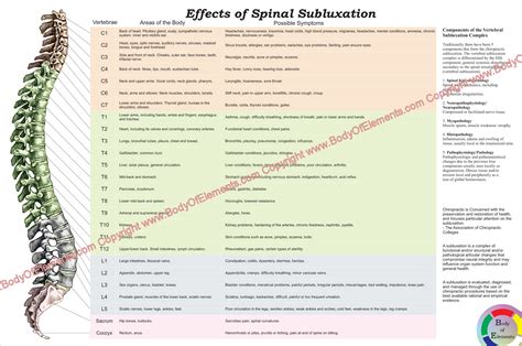 Effects Of Spinal Subluxation Poster 24 X 36