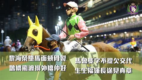 馬場大小學 Vol 139 2021113 谷草夜賽 黎海榮墮馬面頰骨裂，馬會隻字不提欠交代；鵲橋飛渡排外檔仲好，生生福運長途見真章