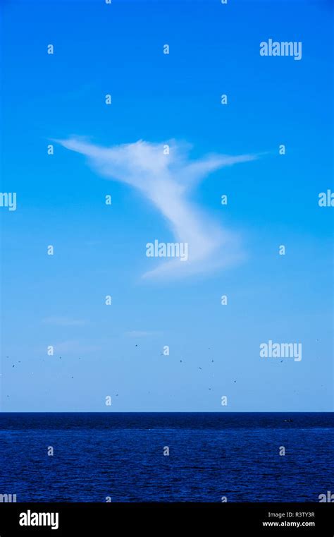 Angelic Cloud Ascending Into Blue Sky From Lake Stock Photo Alamy
