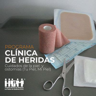 Programa Cl Nica De Heridas