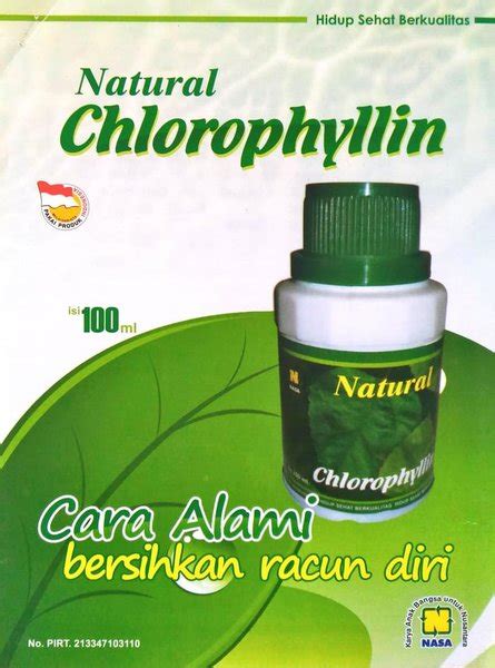 Jual Chlorophyllin Daun Cawi Ncp Nasa Obat Kangker Dan Anemia Di Lapak