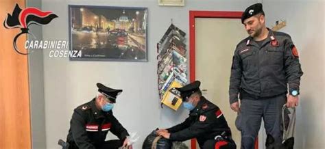 Cetraro Vasta Operazione Antidroga Dei Carabinieri PillaMaro It