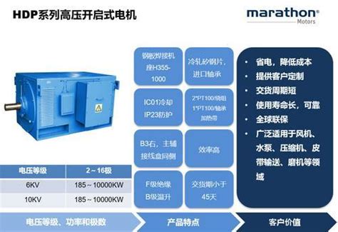 雷勃电气无锡有限公司马拉松电机 Hdp开启式高压电机co土木在线