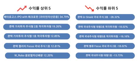 수익률 몇 나왔습니까 휴먼 로보어드바이저 투자 성적은 코주부 서울경제