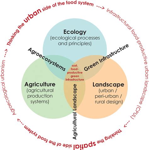 Food‐productive Green Infrastructure Enabling Agroecological