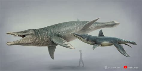 Pliosaurus and Liopleurodon comparison. by mariolanzas5 : r/Naturewasmetal