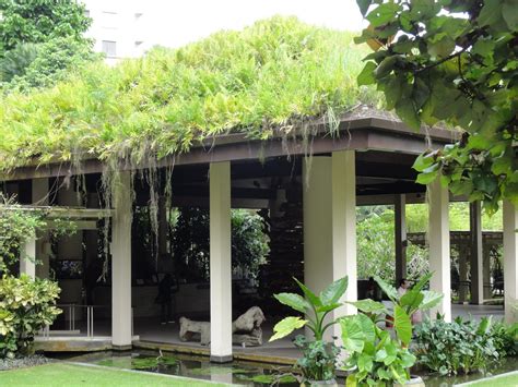 Greening Singapore – Gwenfar's Garden and other musings