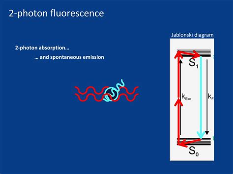 Ppt Advanced Optical Microscopy Lecture February Kai Wicker