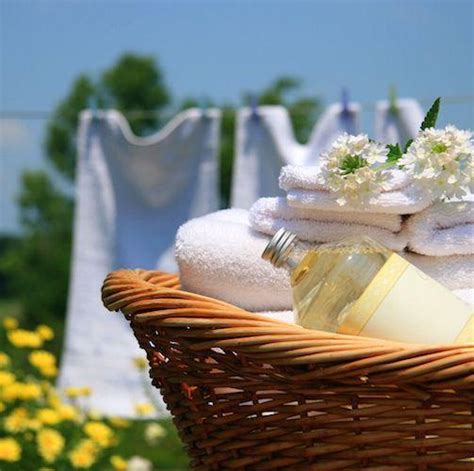 Clean Cotton Fragrance Oil For Candles And Soap Pro Candle Supply