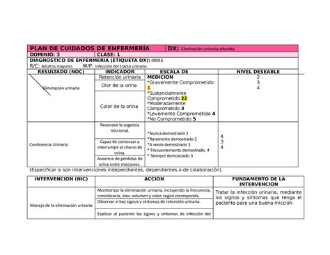 Deterioro De La Eliminacion Urinaria En Paciente Con Disminucion