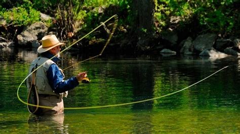 Pesca Con Mosca Revista Aire Libre