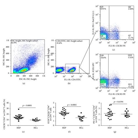 Increased Percentages Of Circulating Cxcrcd Tfh Cells In The