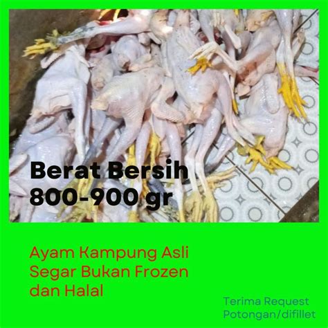 Jual Ayam Kampung Segar Bersih Halal Utuh Potongan Papapangan Shopee