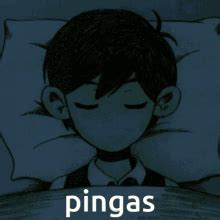 Pingas GIF - Pingas - Discover & Share GIFs