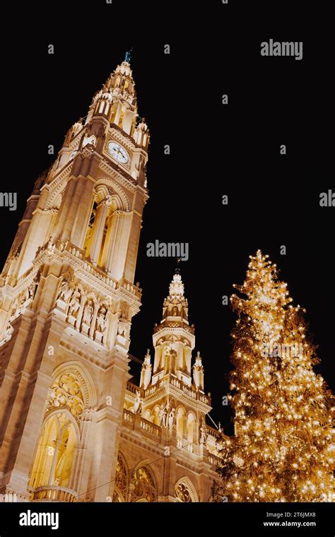 Christmas Market in Vienna, Austria. Christmas Tree in front of the ...