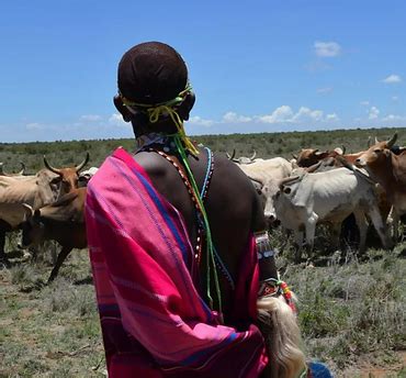 Member Directory Laikipia Conservancies Association