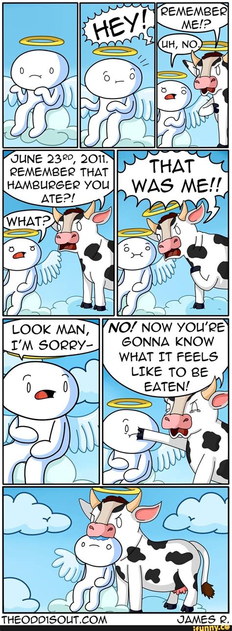 Comic Funny Lol Heaven Cow Really Funny Memes Stupid Funny Memes Funny Relatable Memes