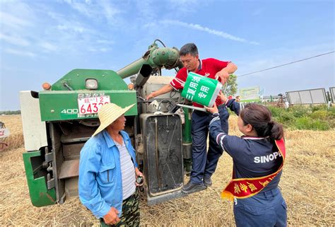 “三夏”时节麦收忙 他们在田间地头守护“大国粮仓”【2】 经济·科技 人民网