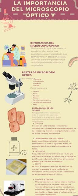 La Importancia del Microscopio Óptico DANA LOAYZA uDocz