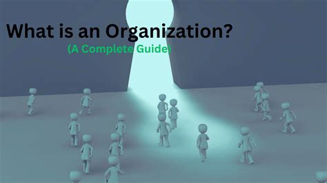 What Is Organization Features Examples Process And Faqs Mbanote