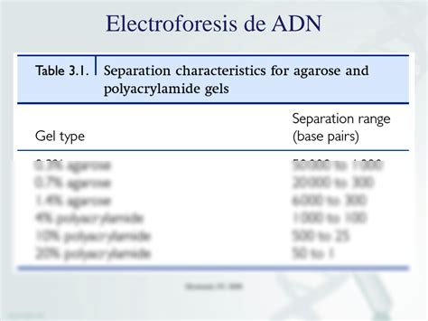 Solution Electroforesis De Cidos Nucleicos Studypool