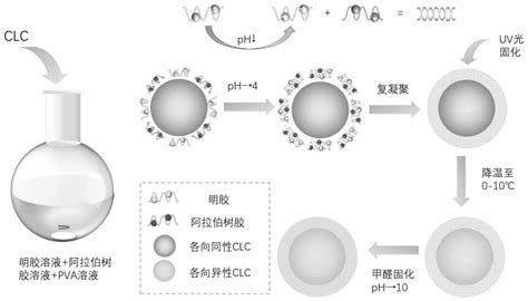 一种胆甾相液晶高分子复合体系微胶囊及其制备方法