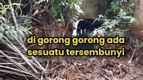 Cari Ikan Di Bawah Gorong Gorong Di Sekitaran Kebun Sawit Tak Di