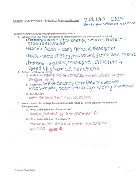 Macromolecules Chapter 3 Bio 1410 Studocu