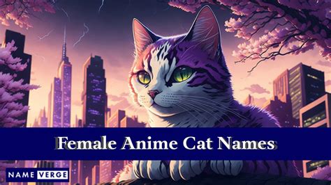 Anime Cat Names: 360 Best Names For Your Pretty Kitty