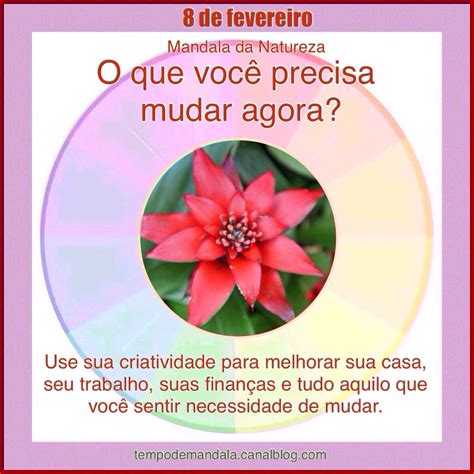 Mensagem Do Dia De Fevereiro Tempo De Mandala Mandala Arte