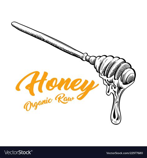 Honey Spoon Isolated Sketch With Drop Flow Vector Image