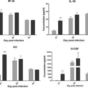 Cytokine And Chemokine Levels In Infected Mice Mice Were Infected With