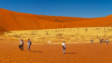 Namib Naukluft National Park Namib Desert