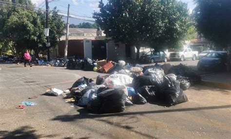 Reclaman Vecinos Retiro De Basura En La Colonia Reforma