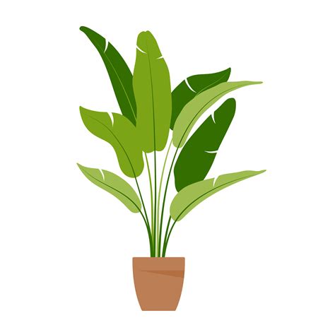 Home Plant Potted Plant Isolated On White Flat Vector Illustration