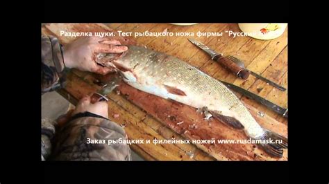 Разделка щуки - YouTube