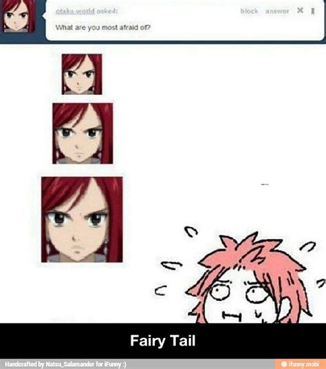 Fairy Tail / iFunny :) | Fairy tail funny, Fairy tail, Fairy tail anime