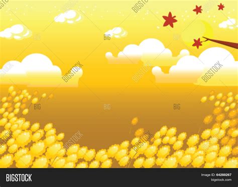 Field Background Vector & Photo (Free Trial) | Bigstock