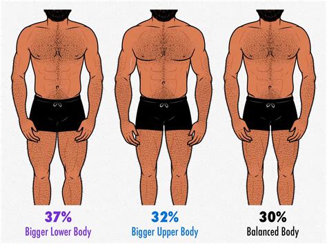 Survey Results What Does The Most Attractive Gay Male Body Look Like