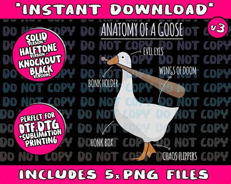 Anatomy Of A Goose Meme Png Bundle Trending Png Popular Printable Etsy