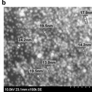 A TEM Micrograph Of HaAgNPs Showing The Size And Morphology B Scanning