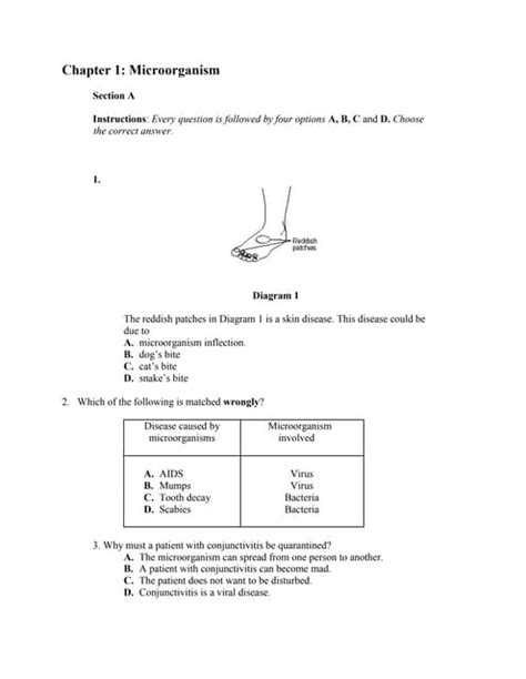 Chapter 1microorganism | DOCX | Infectious Diseases | Diseases and ...