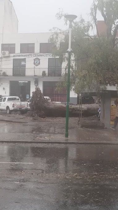 FEROZ TEMPORAL EN SALTA DERRIBÓ ARBOLES Y POSTES MUYCRITICO AR