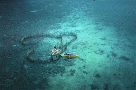 aquatic-RU-the farm in the ocean-vladimi karamazov - 500px