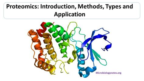 Proteomics Introduction Methods Types And Application In 2021