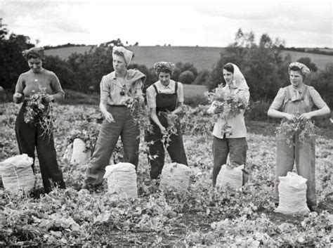 The Womens Land Army 1940s Nostalgia