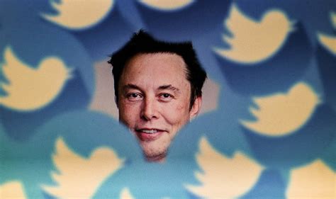 Elon Musk Ofrecer Una Amnist A General Para Las Cuentas De Twitter