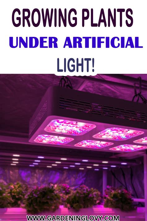 Led Grow Light Bulbs Artofit