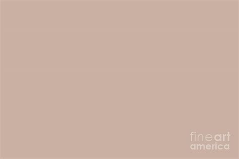 Pastel Light Pink Brown Solid Color Pairs Pantone Rose Dust Tcx